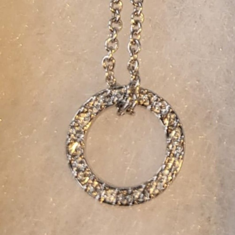 Petite Circle Necklace (4331NF)